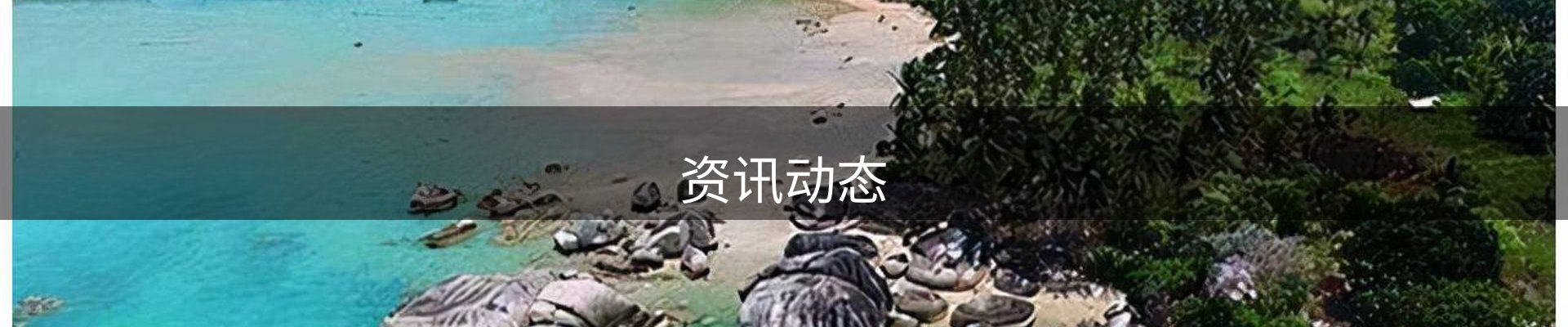 资讯动态